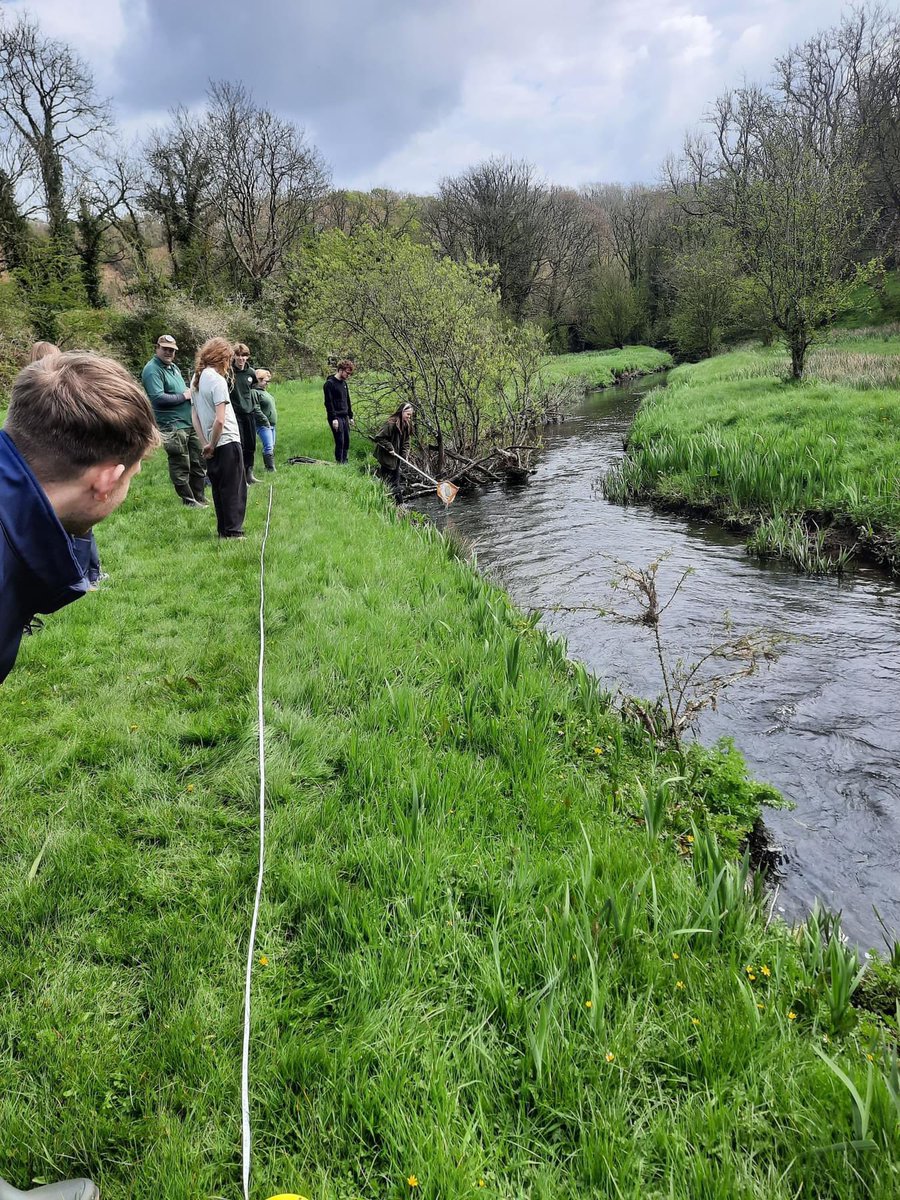 Our Menai Rivers project protects and enhance the biodiversity of rivers either side of the Menai Straits. Last Saturday we worked with @Wild_Elements and volunteers to monitor the flow and assess the health of the river through 'kick' sampling 💦🍀🐟🦦 #UKSPF #Biodiversity