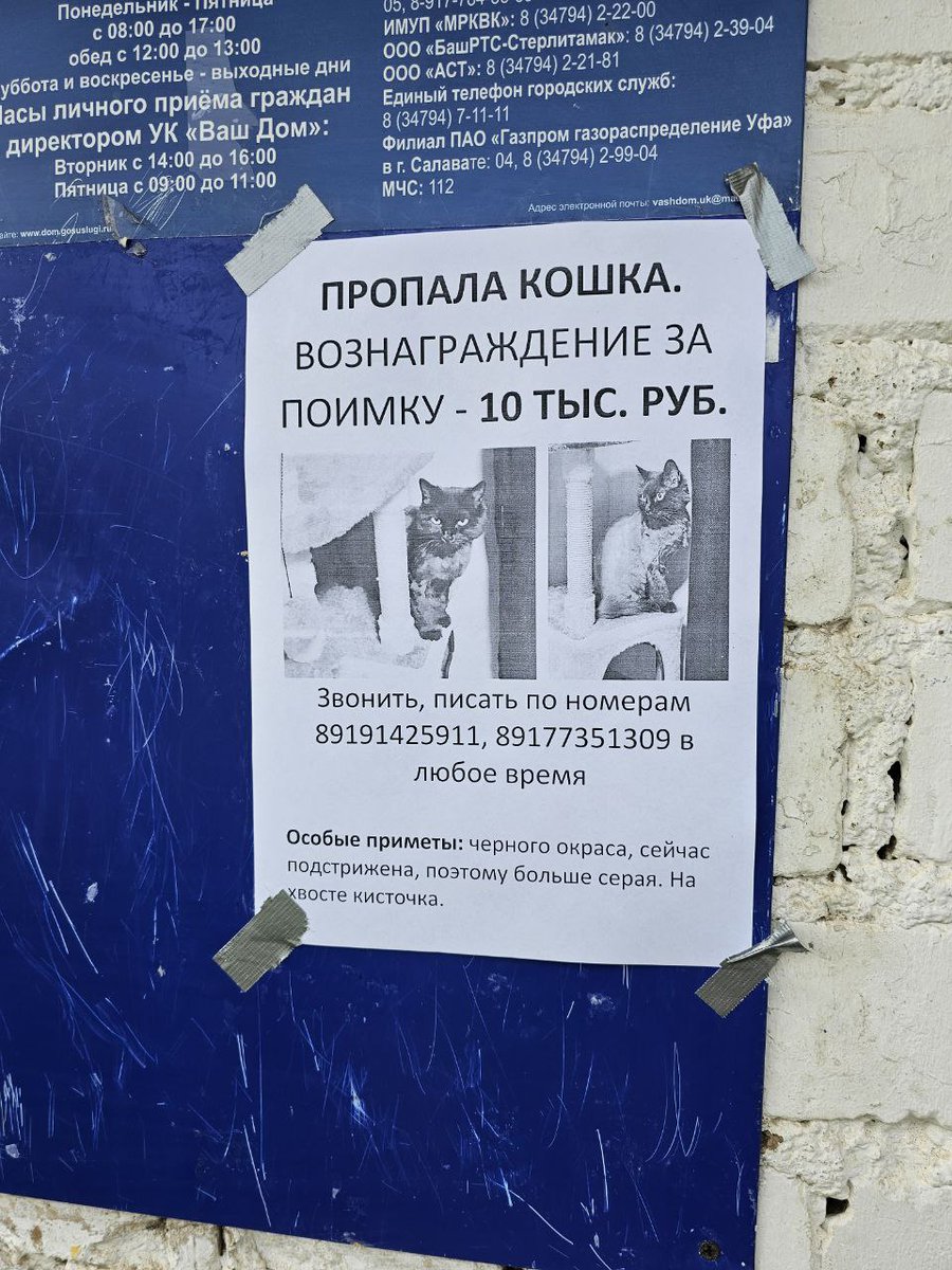 quality_rip's tweet image. Есть здесь охотники за головами?