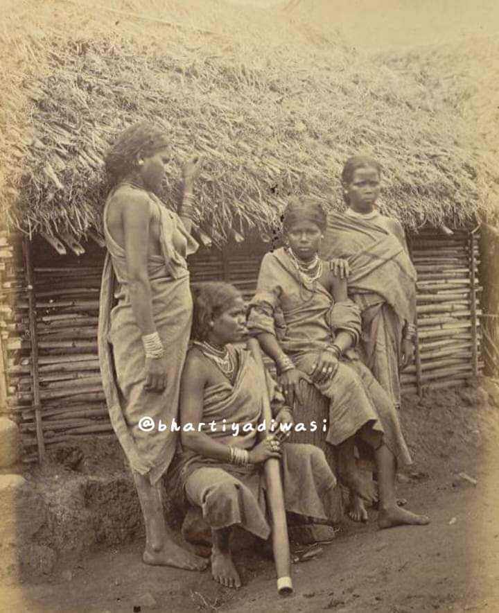 यह इरुला नामक कबीले की महिला ये है जो तमिलनाडु में नीलगिरी हिल्स के आस पास रहती थी । सन 1871 की यह छबि है। #tribe #ट्राइब #आदिवासी