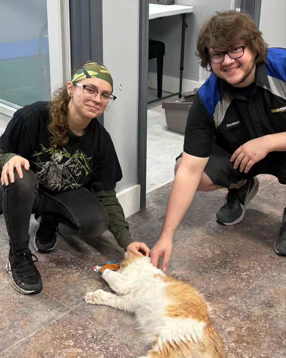 Fishsticks has left the building! 🎉 He was one of our Forever Foster A Feleuk Kitty program eligible cats. He quickly settled into his new home, exploring his new surroundings. We're so happy for him and his new family! Happy tails, Fishsticks!