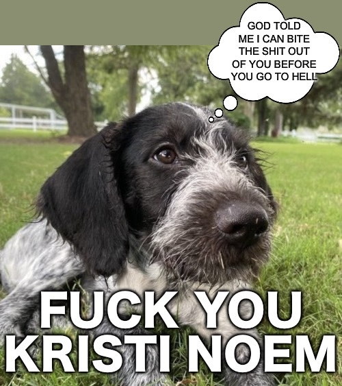 Let’s not forget #MAGA is the party of puppy killers! This is #Cricket that #monster #KristiNoem’s dog that she was too lazy to train and shot then threw it away in a gravel pit! Cricket has a message to the #FakeChristian!

#MAGAPuppyKillers #PuppyKillers