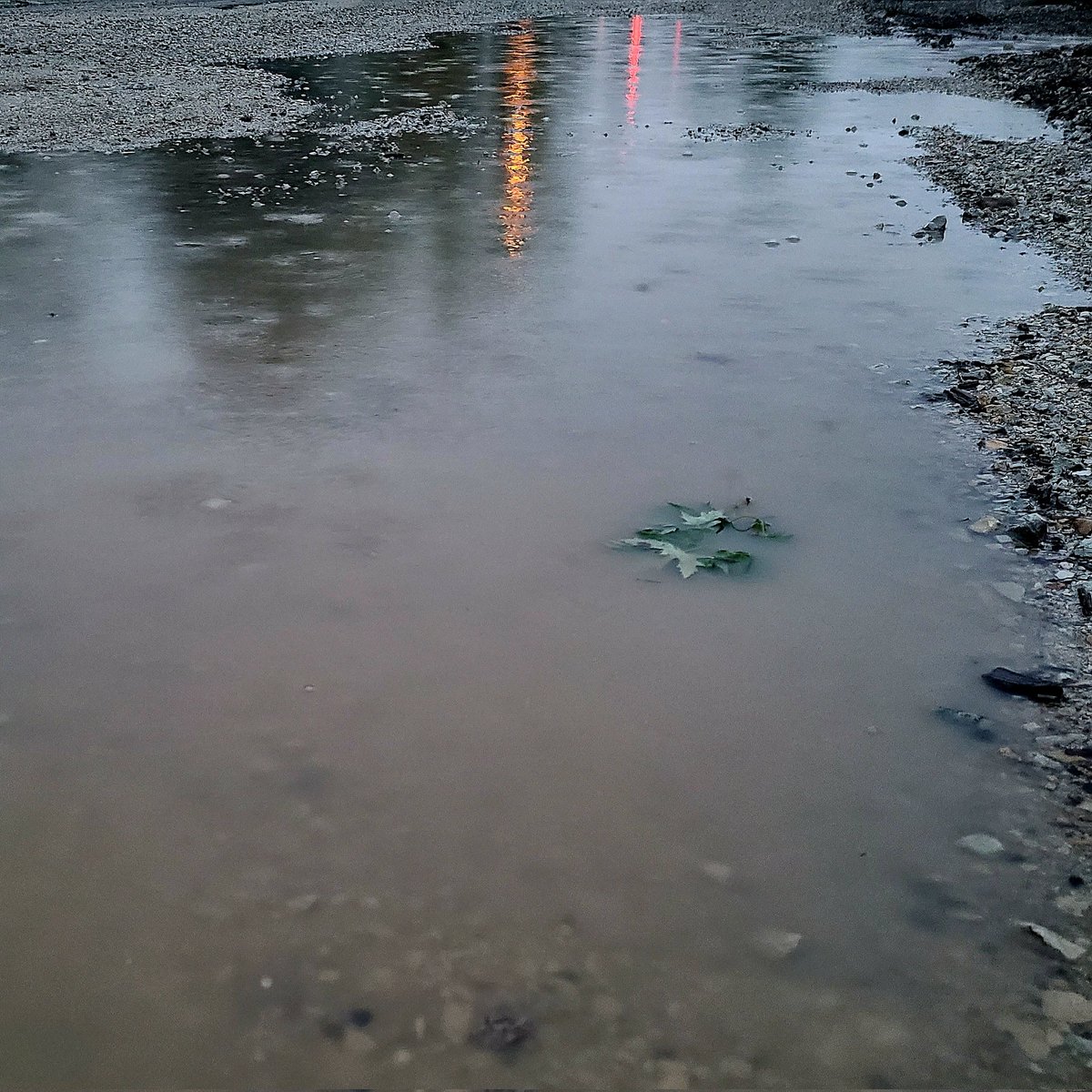Walking in the rain, but a little #PuddleReflection first thing in the morning is good for the soul. 62F #MorningWalk #Dawn #Sunrise #BestTimeOfDay #WonderingWhileWalking #Photography #TakeAnotherShot #DontLoseFocus #DoItForYou #GetAfterIt #PhotoChallenge2024