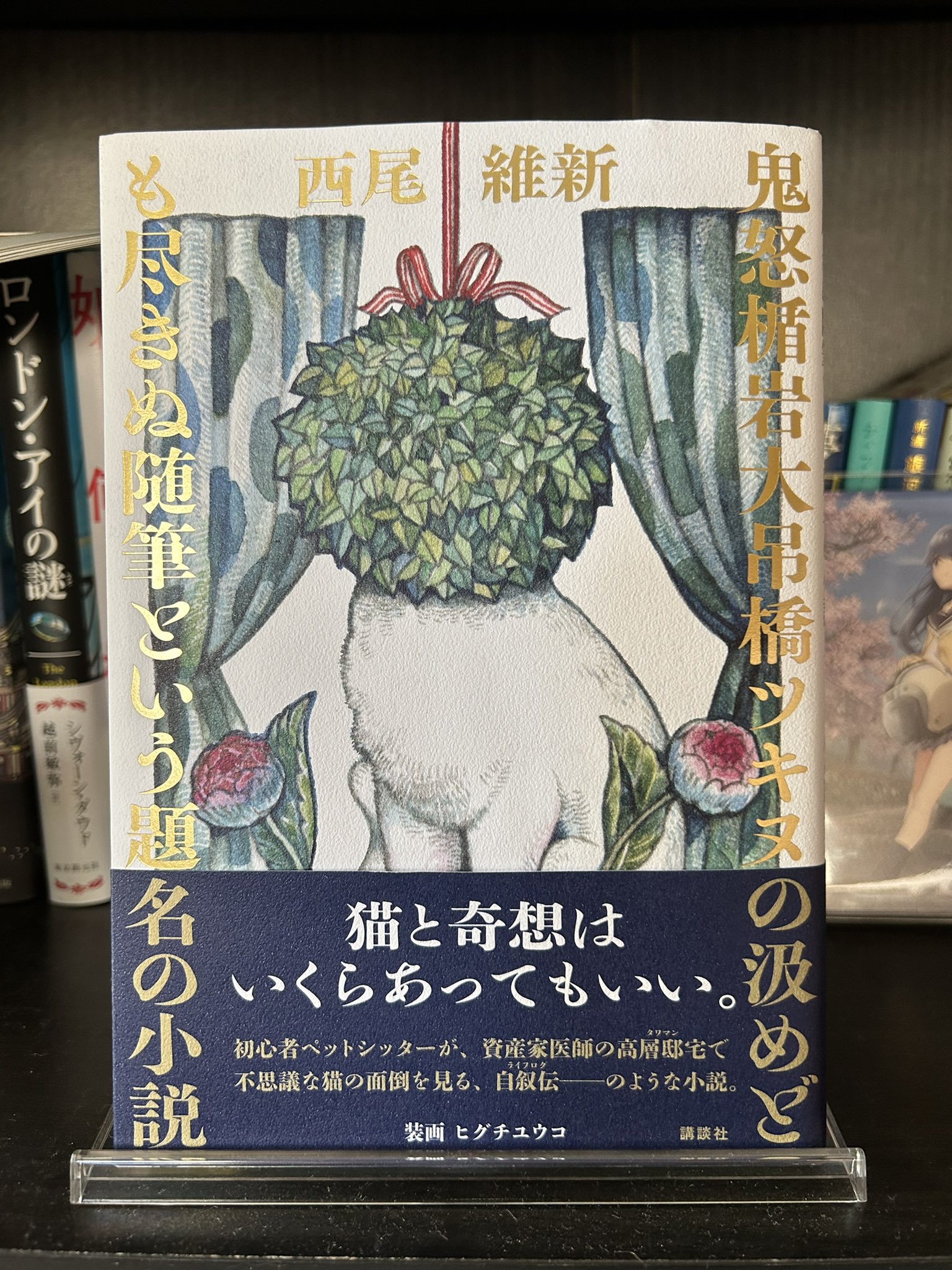 鬼怒楯岩大吊橋ツキヌの汲めども尽きぬ随筆という題名の小説