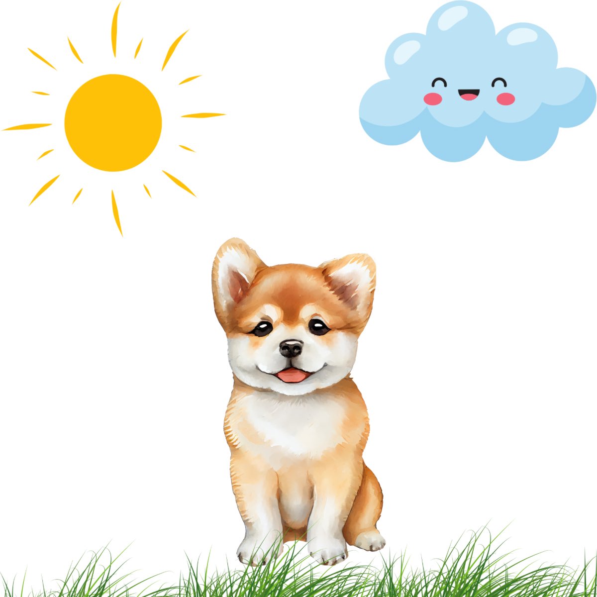 GM $INU chads and happy Sunday ☀️