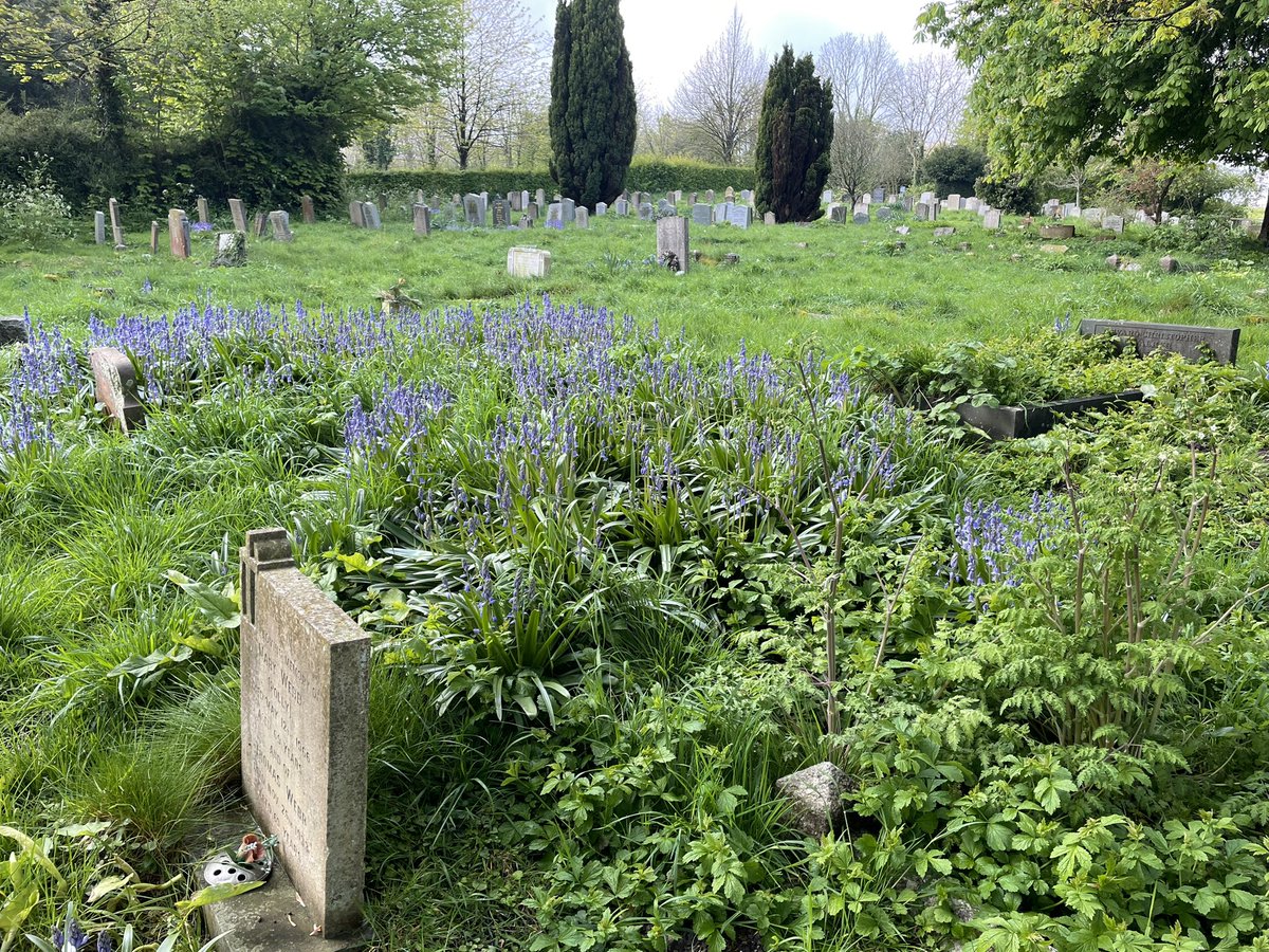jennyHollingsbe's tweet photo. Pleased to support #RoyalKentishCamino leaflet with some #WardGrant @fstonehythedc and attend the launch of the walking route from #StMaryandStEthekberga #Lyminge https://t.co/JQHV447GFv