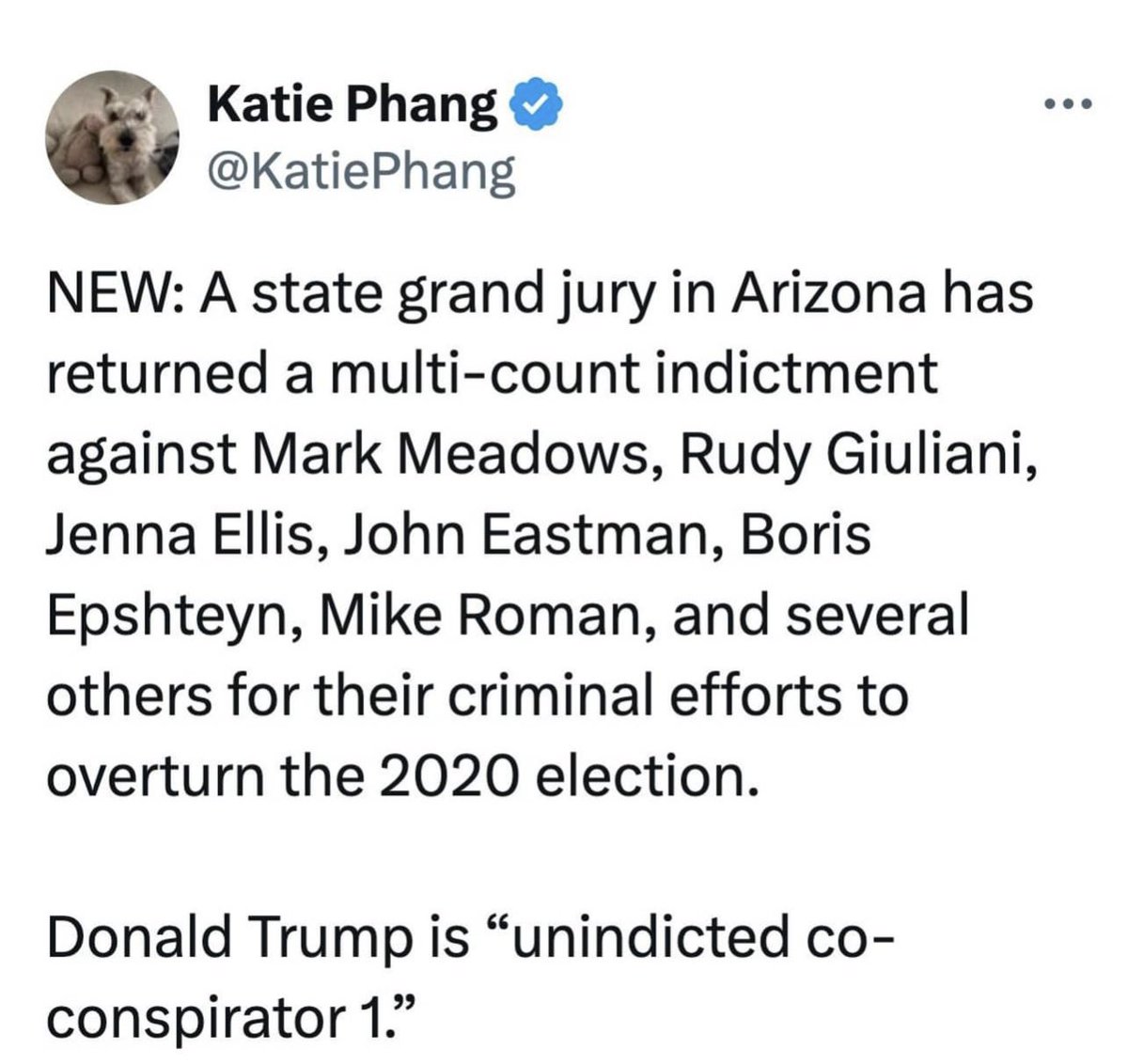 UNINDICTED CO-CONSPIRATOR 1 ? @BakerHugh @campbellj4 @smaddoxsr @SeanNewboy @Numbers28 @grwaltonsr @Mjcrjdrvrsoonrf @KingIvan @GeorgeK80919736 @buddy_dek @TaylorMadeBride @betsybblue @customcore7 @CariCorbett100