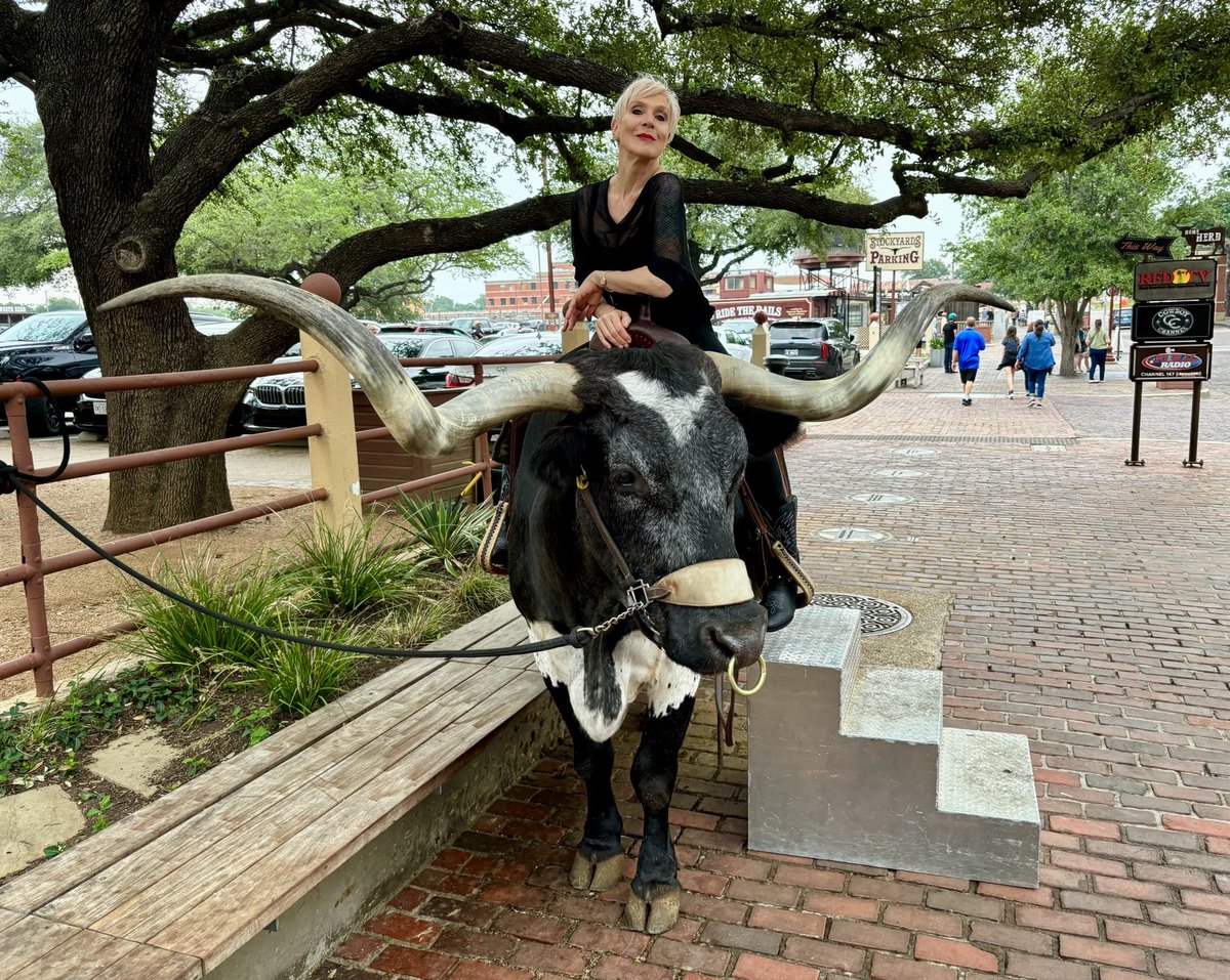 A right old cow. And a longhorn steer 😉 Missing all my very lovely ⁦@GBNEWS⁩ viewers & #WestHamUnited mates this weekend. Normal service resumed when finished droving & whiskey drinking 🐮🥃🇺🇸#Texas #Holiday #gbnews