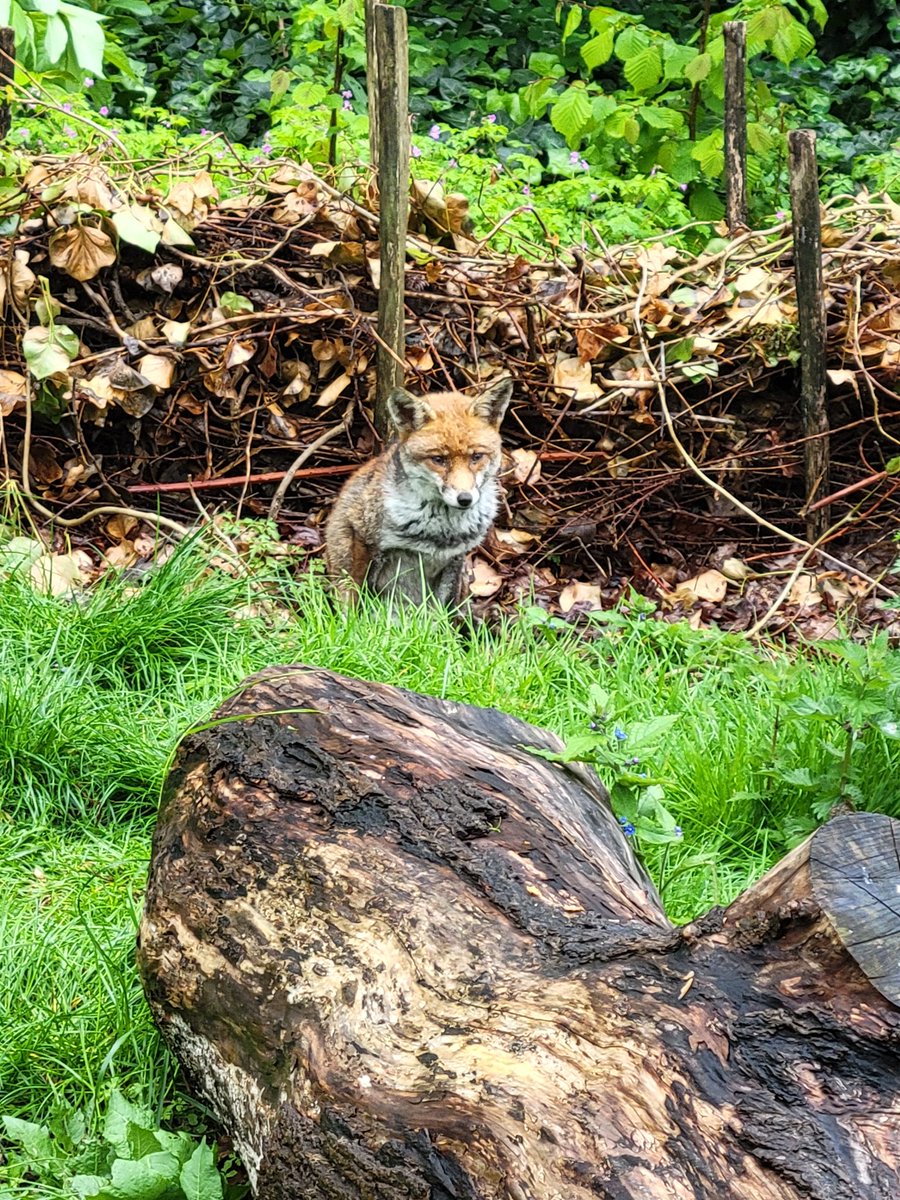 Tim Palmer tweet media