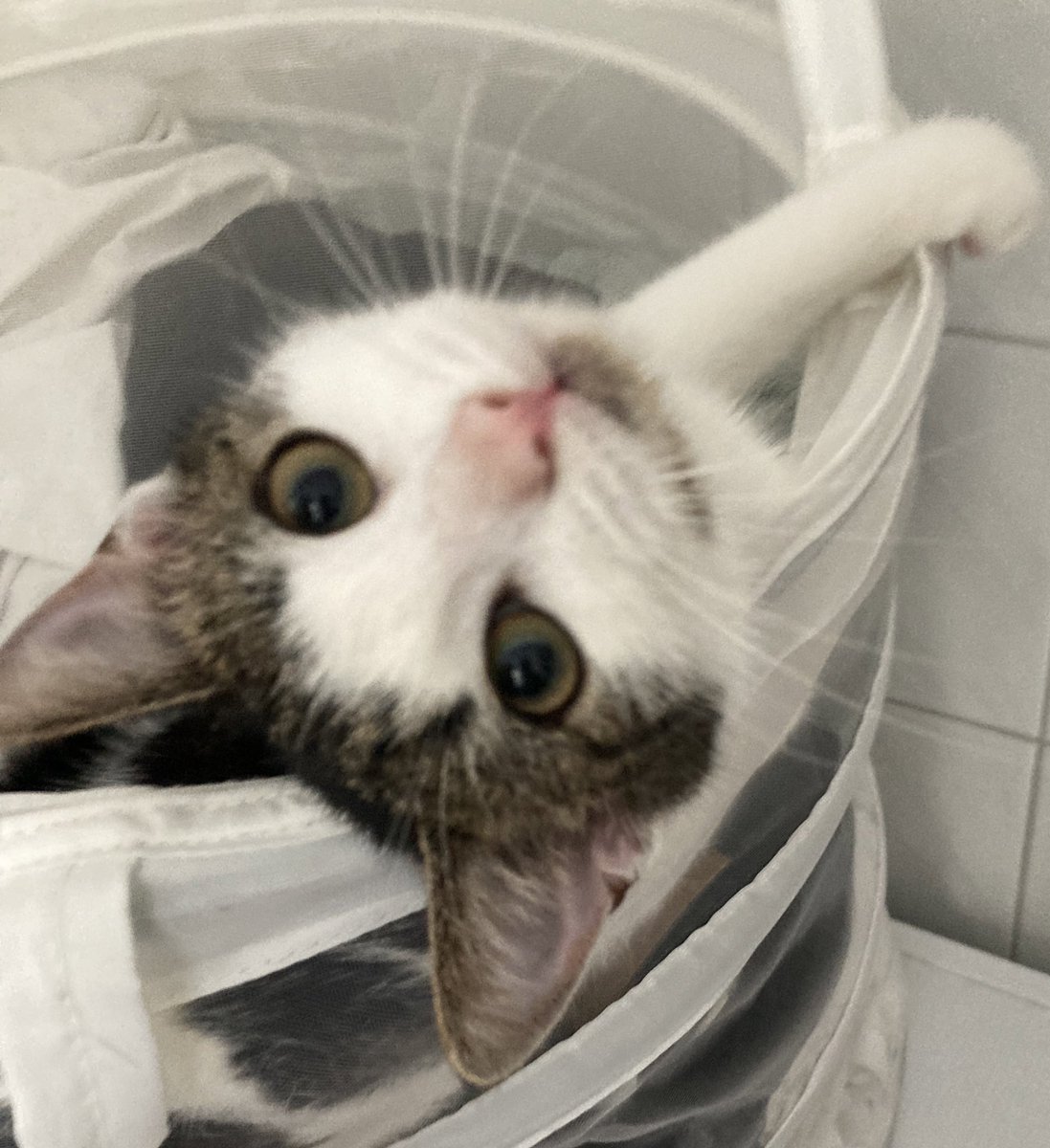 exy 🖤🌙 tweet media