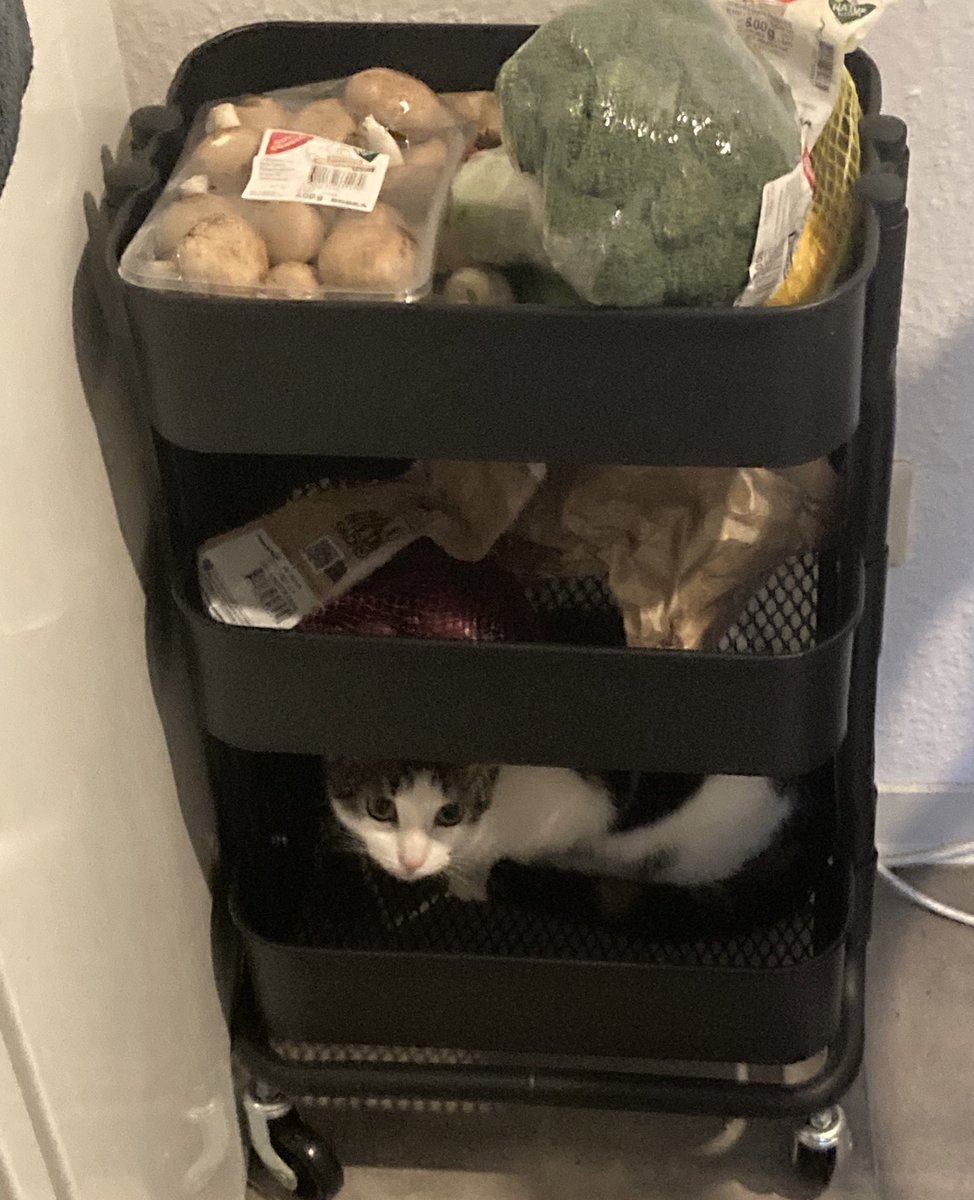 exy 🖤🌙 tweet media