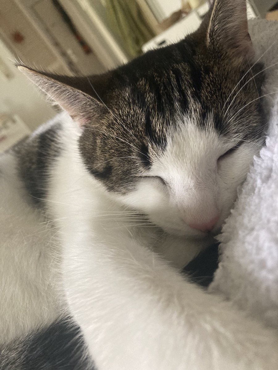 exy 🖤🌙 tweet media