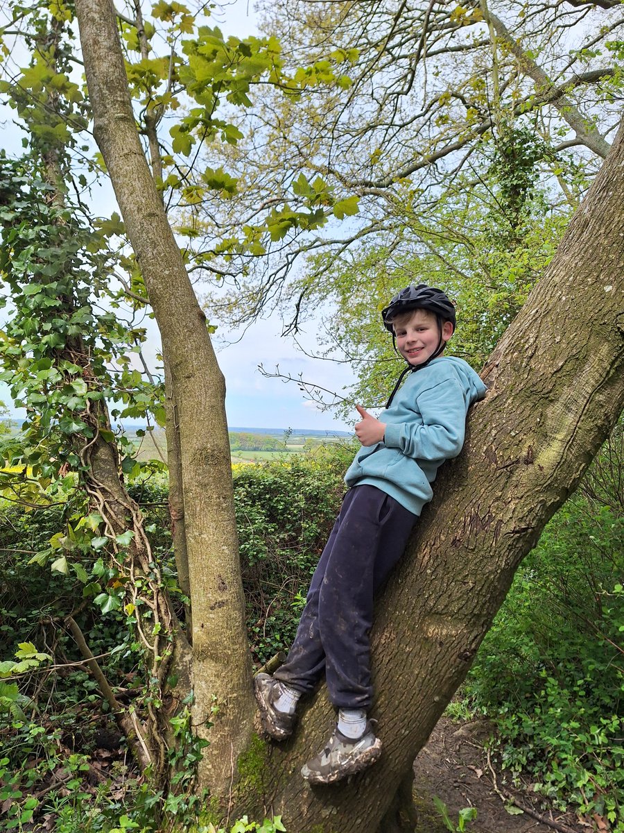The Junior Boys always know the best spots to climb trees #HazlegrovePrep ##HazlegroveBoarding #ILoveBoarding