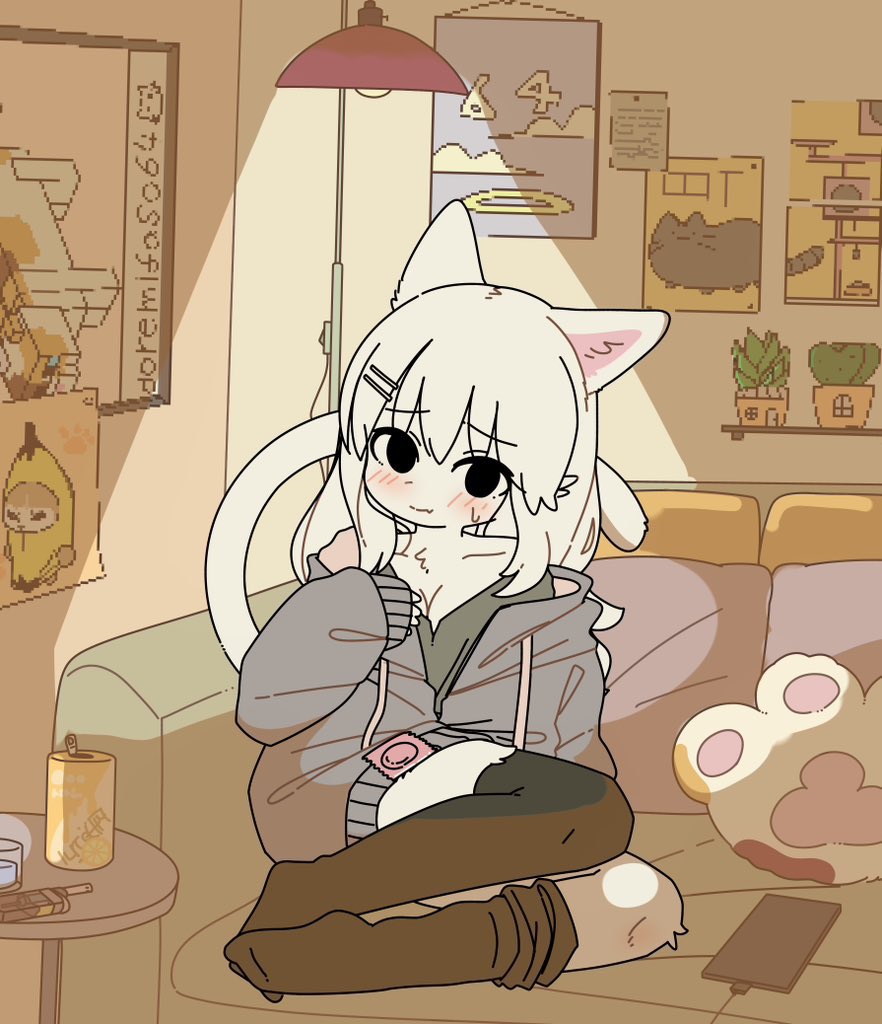 Post by ミケの人😸 on X: 白猫ちゃん宅