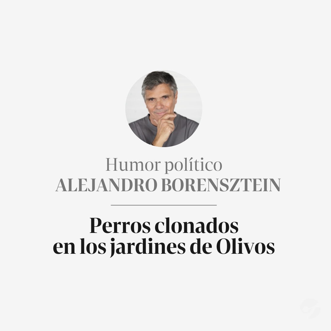 OPINIÓN | Se ve que es más divertido hablar de los perros de Javi que debatir sobre el rol del Estado. ✍️ Por Alejandro Borenstein 📲 Leé la columna: clar.in/3JI5pYE