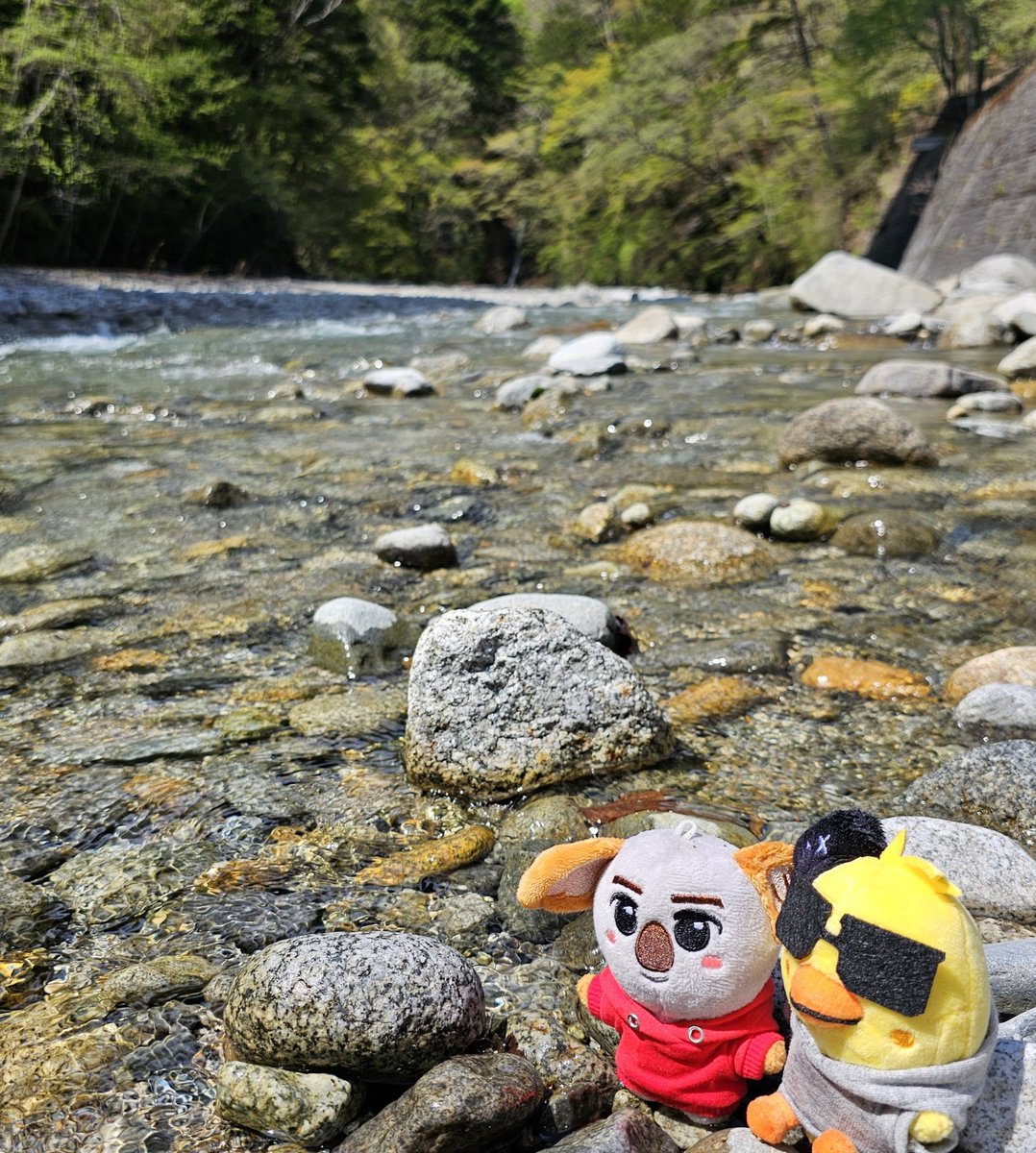 omiso925's tweet photo. ジャカルタ🇮🇩や豊洲に思いを馳せながら(🥲︎)山の方へ
新緑が美しかった🌳✨

 #koalakhun
 #PiYoung https://t.co/uD1GmwvBOr