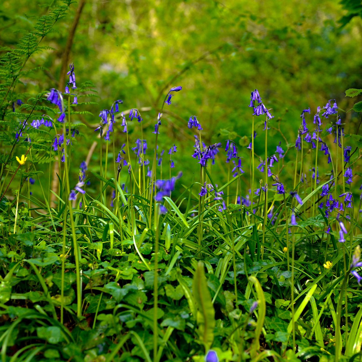 April morning, Helston