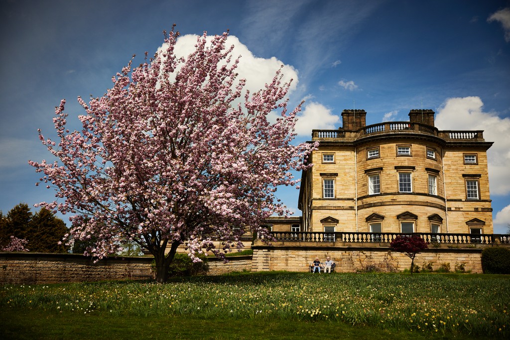 🌸 Spring has arrived and YSP is looking beautiful. Visit as many times as you like over the season with our new Spring/Summer Pass – explore every corner of YSP or find your perfect spot to re-visit again and again. Find out more at 🔗bit.ly/SpringSummerPa… 📷️@photosbydavid