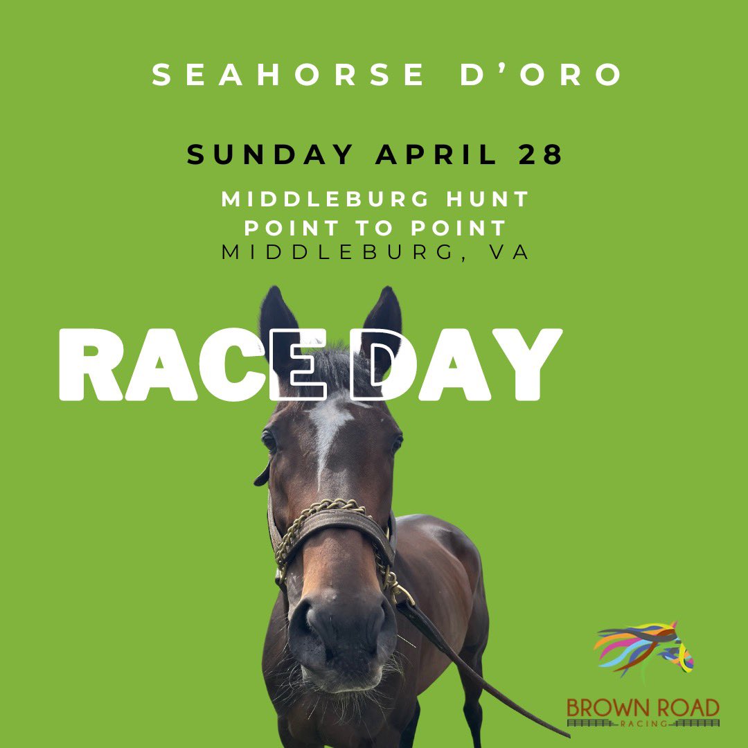 SEAHORSE D’ORO entered today in the Middleburg Hunt Point to Point @ Glenwood Park in Middleburg, Virginia. Trained by T.J. Wyatt, she will be competing in Race 7. (PT: 4P) Good luck Seahorse! 

#bodemeister #mementodoro #medagliadoro #nybred #secondcareer #steeplechase…