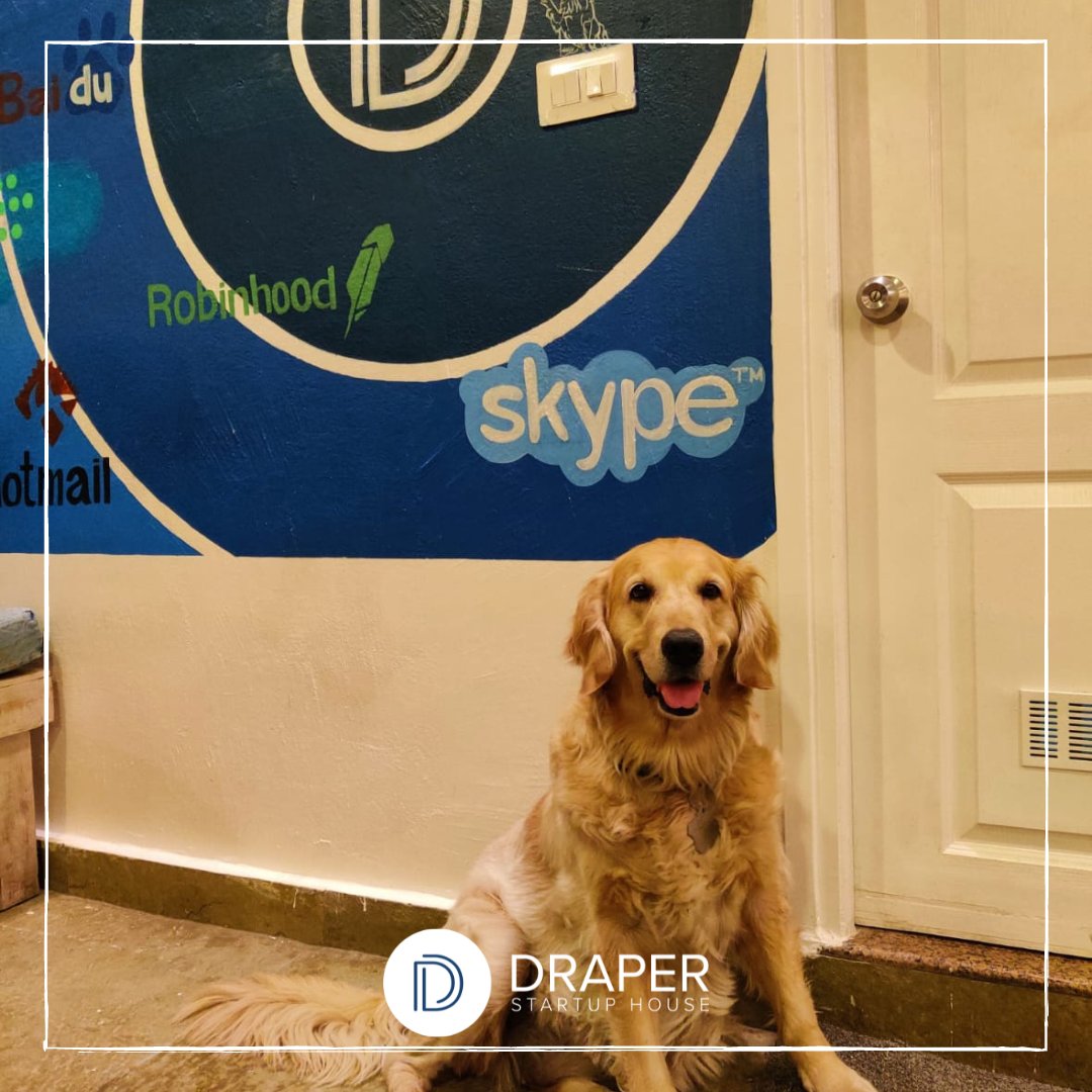 'Meet the real boss at Draper Startup House 🌟 Our Chief Happiness Officer is always on paw-trol to ensure smiles all around! 🐾 #TeamDraper #StartupLife'