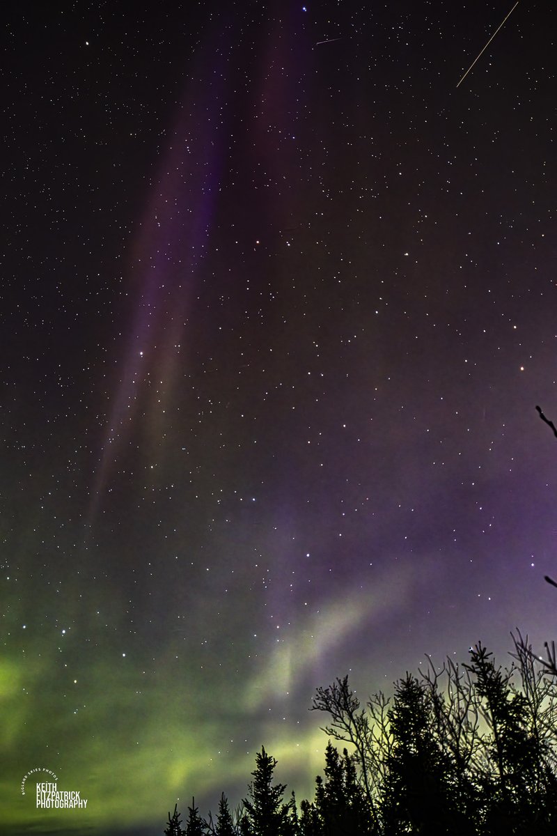 April 28th - Even got a little flyby gift during the Auroras last night. #nlwx #nlastro #northernlights #Auroraborealis #AuroraPhotography #ShareYourWeather #nature #rokinon14mm #canon90D #labrador @EddieSheerr @a_brauweiler @MurphTWN