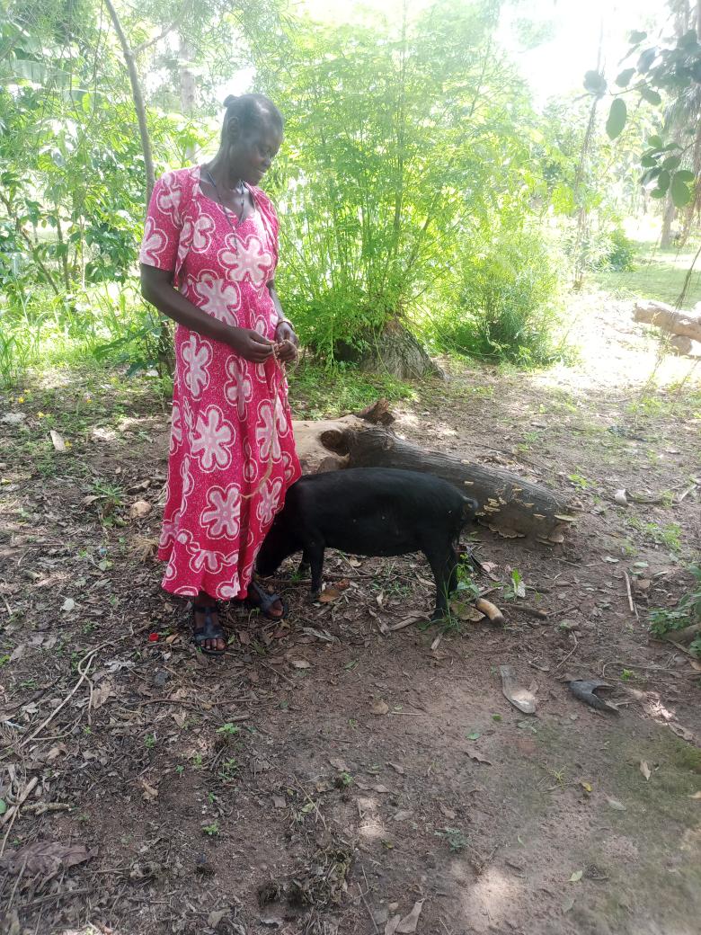 Sesera youth's piglet project is nurturing Hope: 
The families’ joy was palpable. Their gratitude touched our hearts. These piglets aren’t just livestock—they represent hope, resilience, and a brighter future. 
#FamilyJoy
#ShareLove
