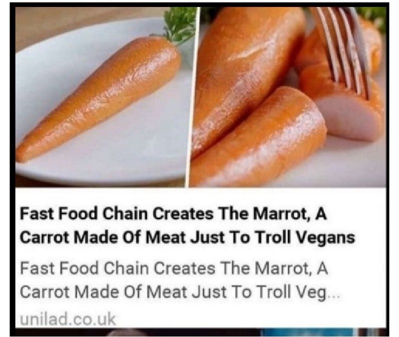 47leakiM's tweet photo. @Alberedan Onneksi markkinatalous tuottaa vaihtoehtoja tässä helvetillisen #vegetyrannia'n keskellä 🥕🌭 #marrot #nakkiporkkana https://t.co/ZK8RnFkh82