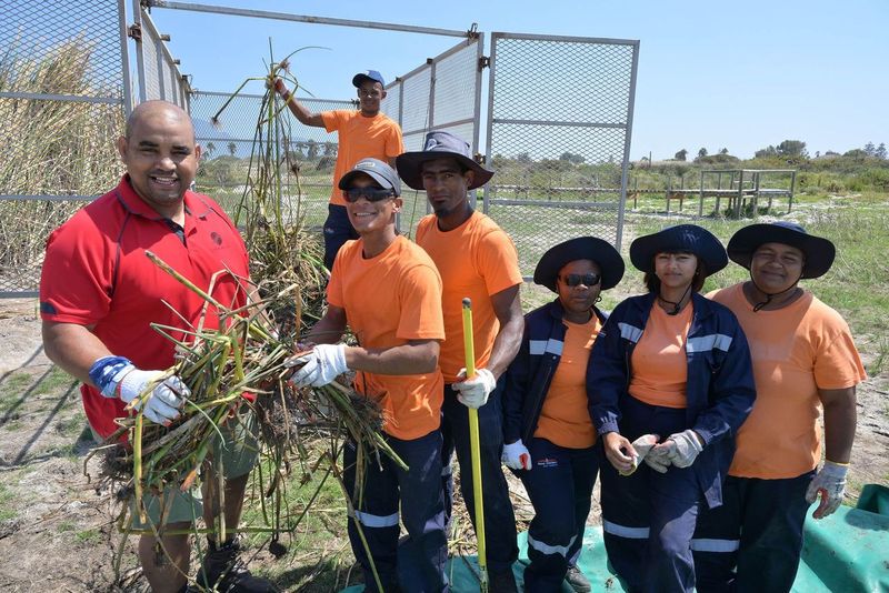 Since the 2019/2020 financial year, 14 547 unemployed residents in the City have earned an income through short-term job opportunities within the City’s Environment Management Department offered via the EPWP. See: bit.ly/3Qpjnmi #CTNews #SpatialPlanningandEnvironment