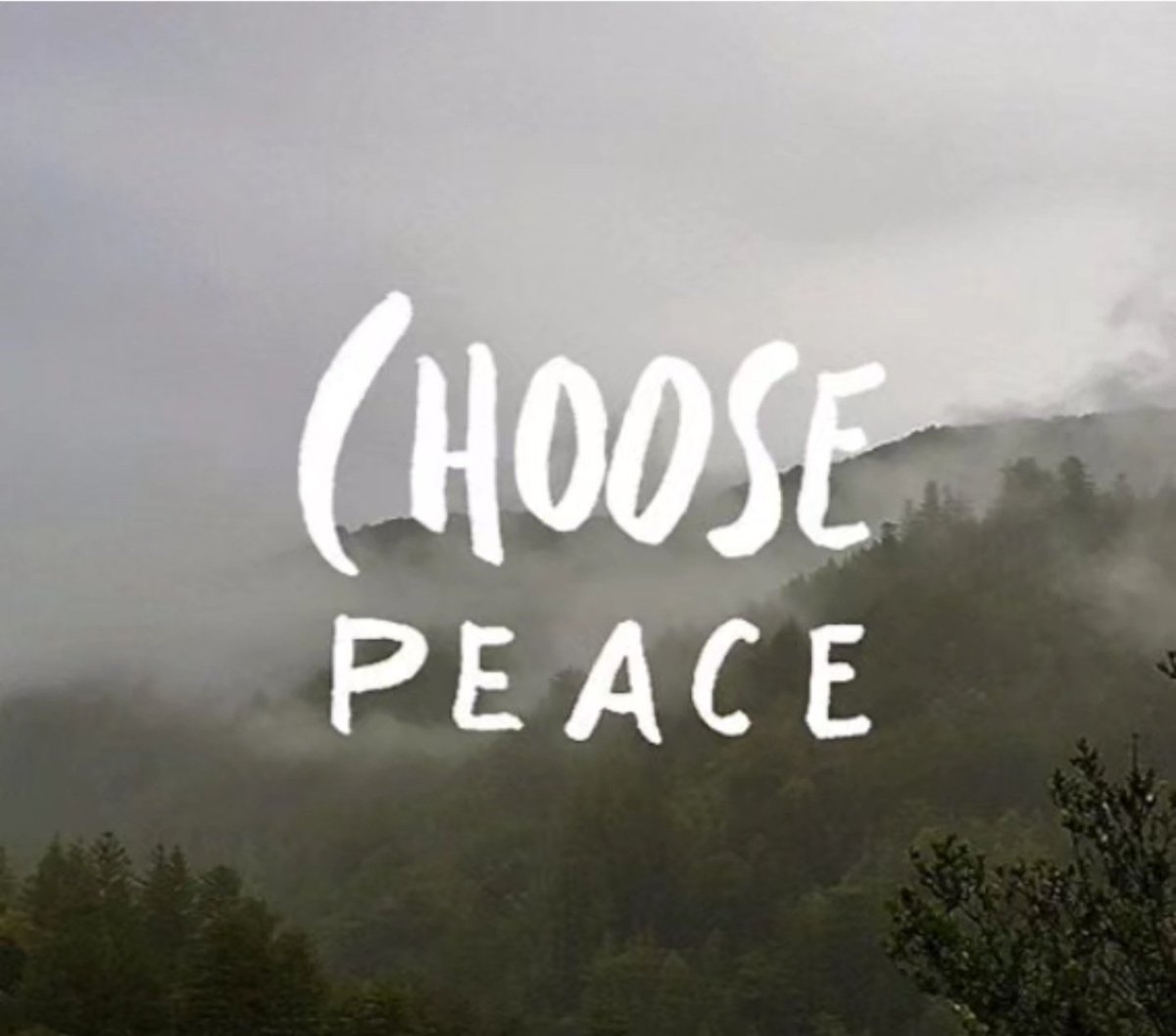 Good morning! As much as lies within you, be at peace with everyone. Choose peace. Live peaceably #peace #choosepeace #helpinthehouse #Solutionist #iamaningredient #JusticeGeneral