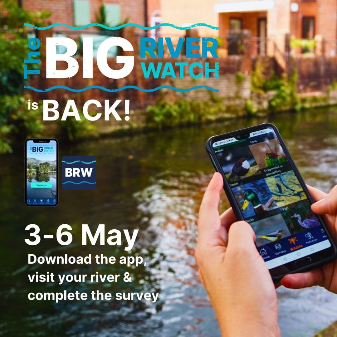 Join @theriverstrust #BigRiverWatch 3rd - 6th May 1⃣Download the free app 2⃣Visit your local river stretch of river 3⃣Fill in a short survey about what you see 🤳 Search for ‘Big River Watch’ in your app store or visit theriverstrust.org/take-action/th… to download and get started