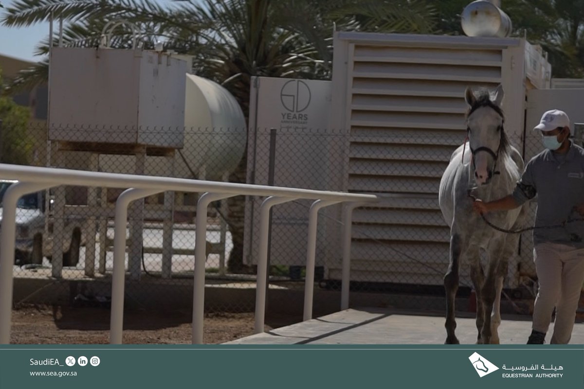 SaudiEA_'s tweet photo. Happy #WorldVeterinaryDay! In the Saudi Equestrain Authority,  we express thanks to the dedication and compassion of vets across the Kingdom who work tirelessly to protect horses health and welfare. We are proud of you https://t.co/N6YYa6nxox