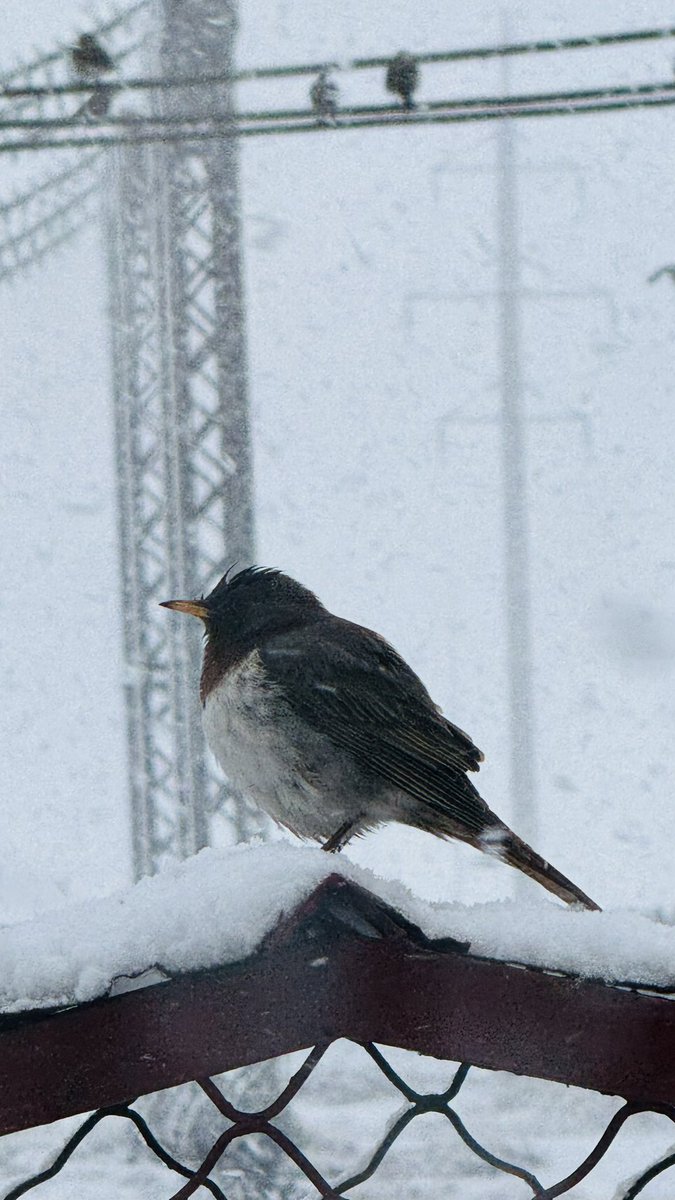 Хүн амьтангүй бодол ундартал бороо цас орж байдаг шүү😁
Emo байна би😂😂