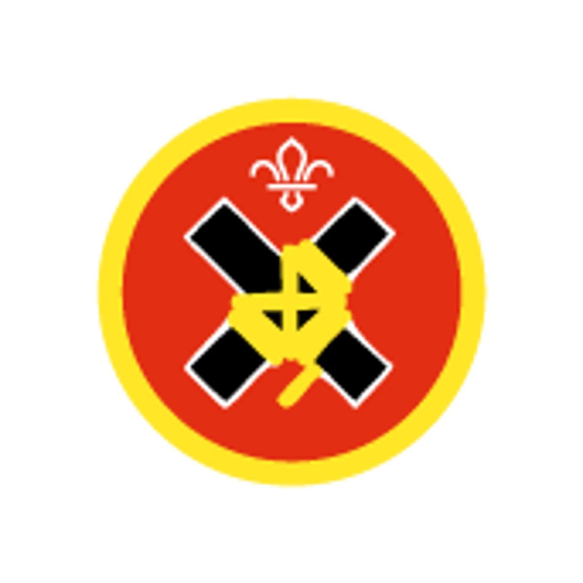 7th Braid Scouts tweet media