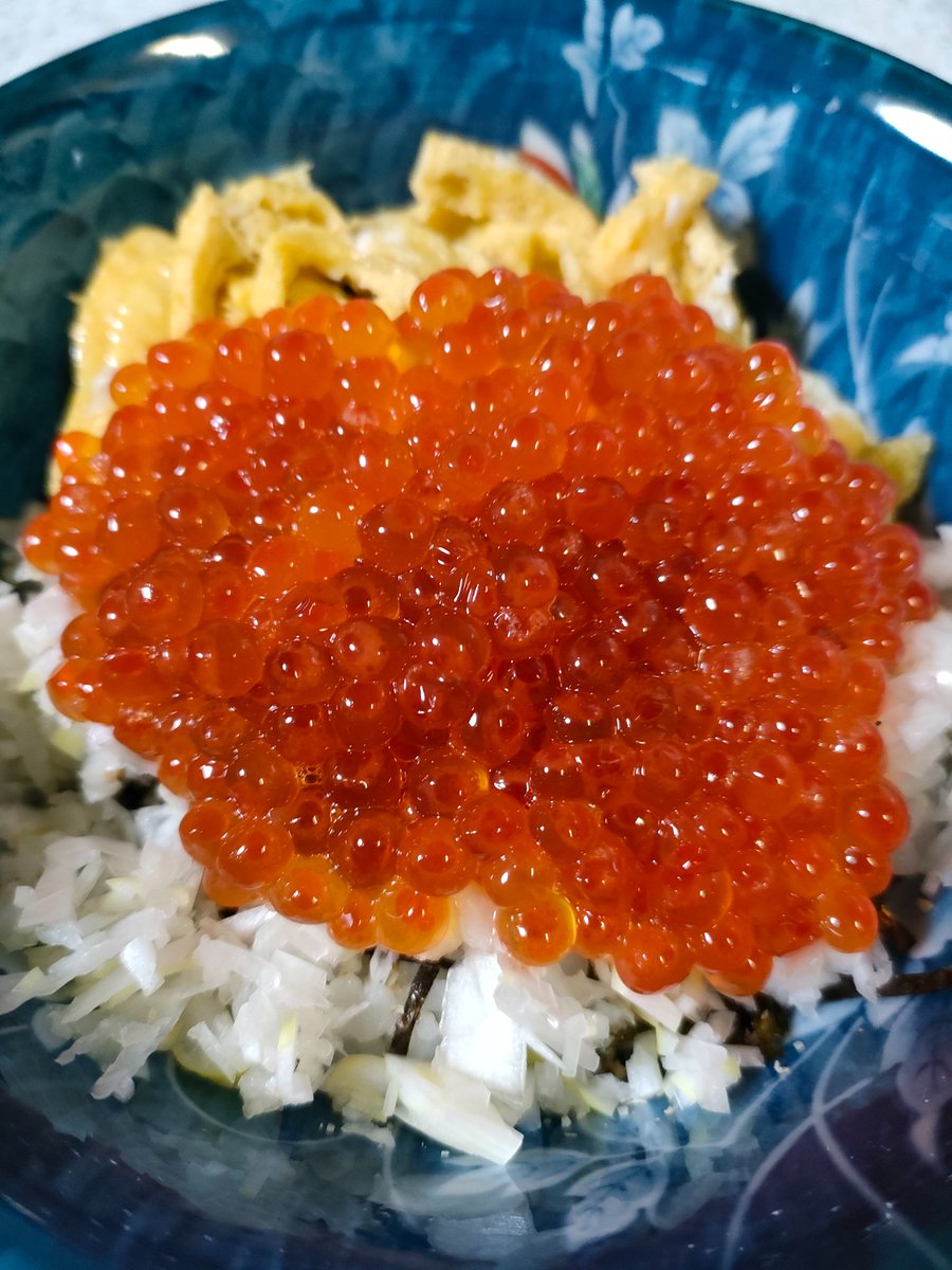 ✨いくら丼✨ 海苔とネギと錦糸たまごをのせた酢飯にイクラたっぷり盛りました😋 #おうちごはん #X家庭料理部