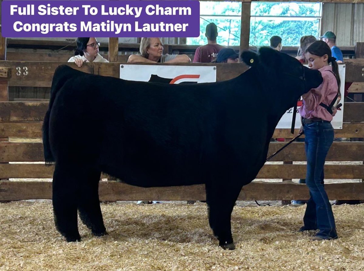 mattlautner tweet picture