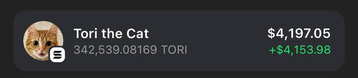 HaileyCat tweet media