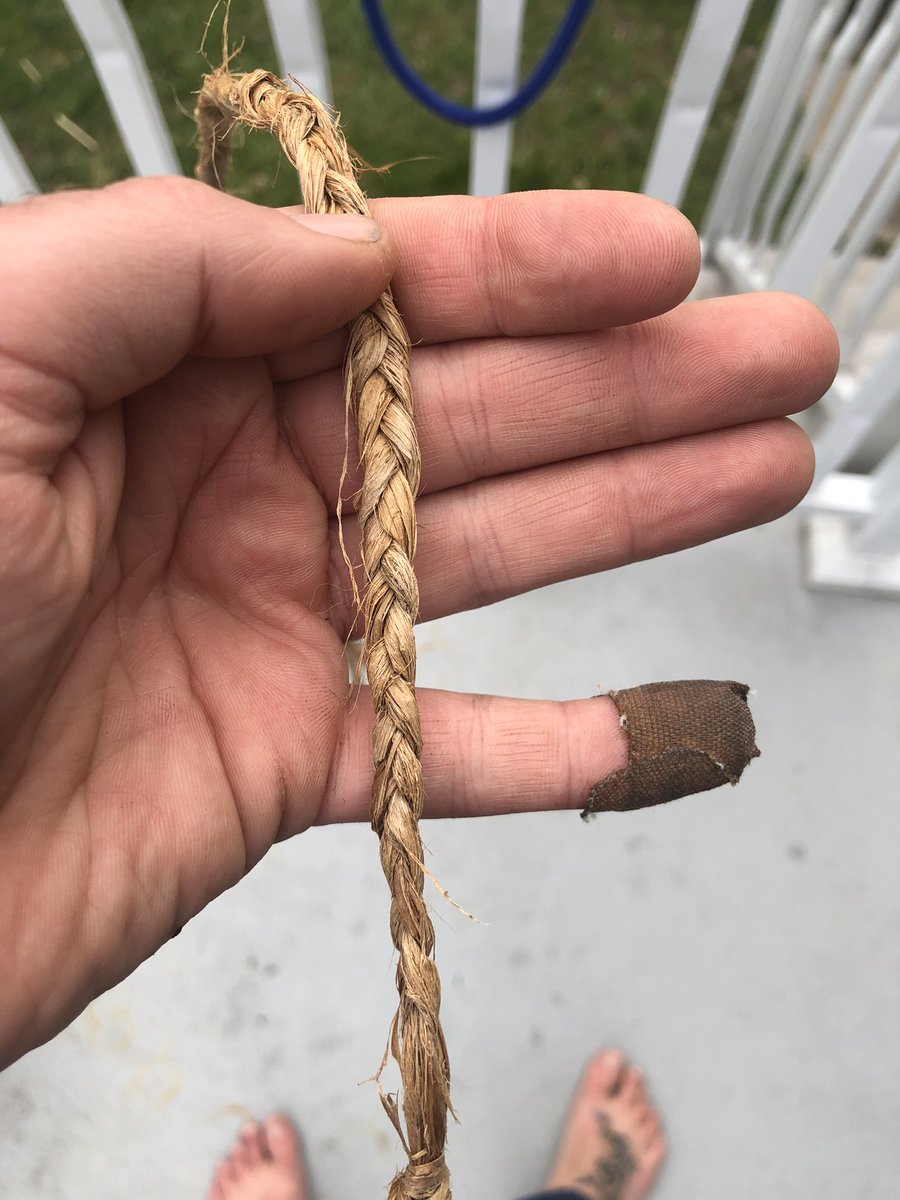 Practicing some bushcraft this weekend. Braided rope made from inner catalpa bark (phloem?). It peels off fallen branches in very strong, fibrous strands, and can easily be braided together in sections. 
I cannot tear this rope, no matter how hard I try. Will use in the garden.