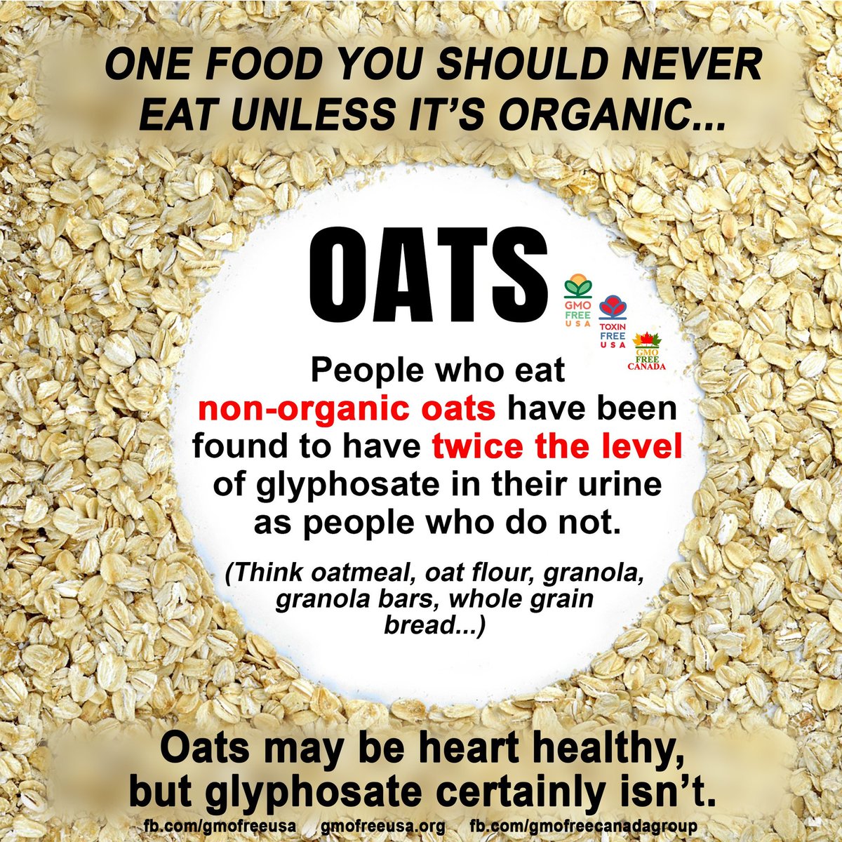 Most people are not aware that #oats are sprayed with #glyphosate-based herbicides. How is that heart-healthy? Glyphosate in conventional oats (EWG testing): tinyurl.com/GlyphosateInOa… Glyphosate urine levels drop after switching to an organic diet: tinyurl.com/OrganicDietRed…