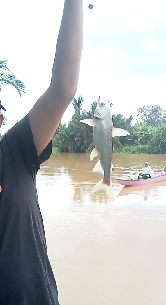 ini ikan baung namanya, lumayan lah buat lauk😃