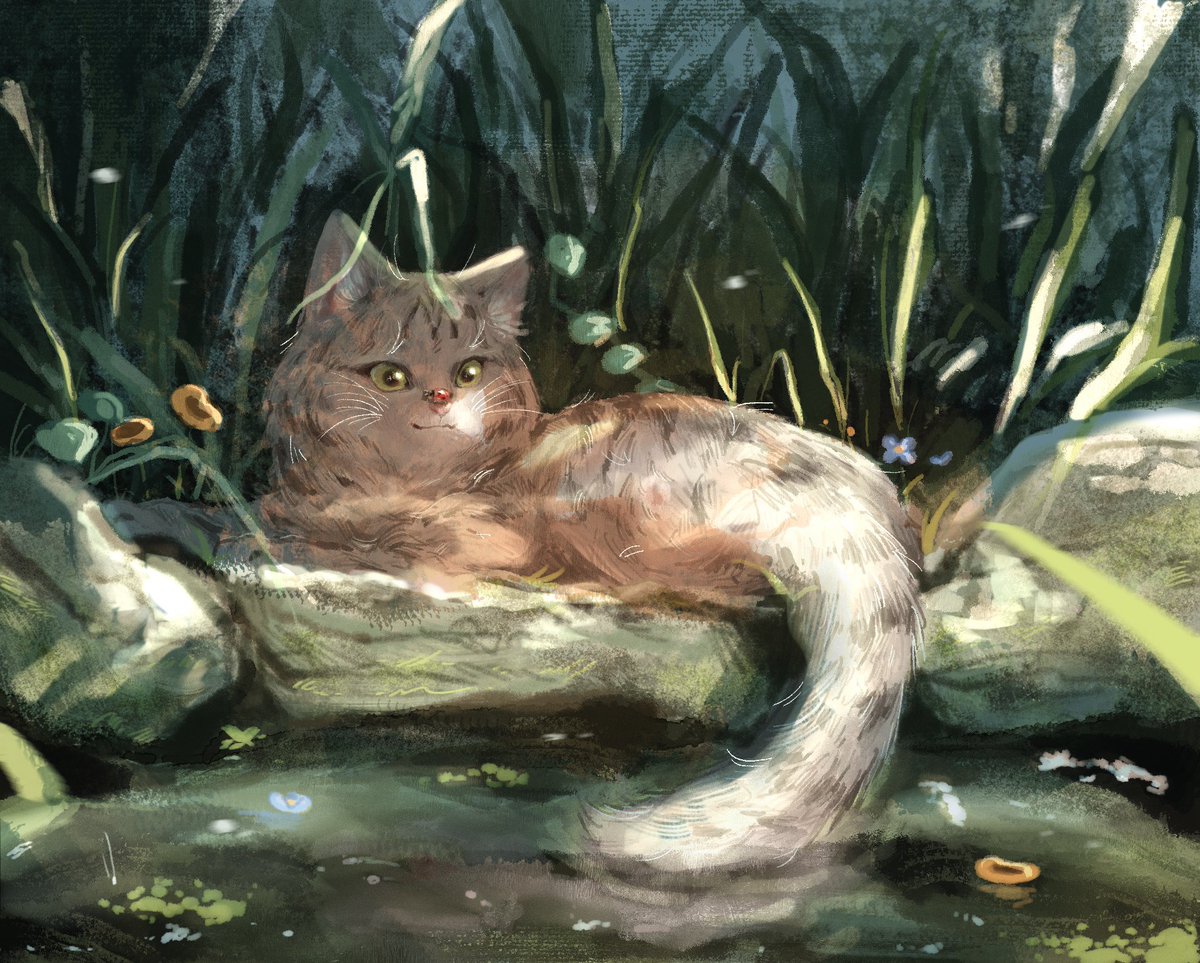 ᴍᴀᴄᴋᴇʀᴇʟ (แอคทีฟต่ำ) tweet media