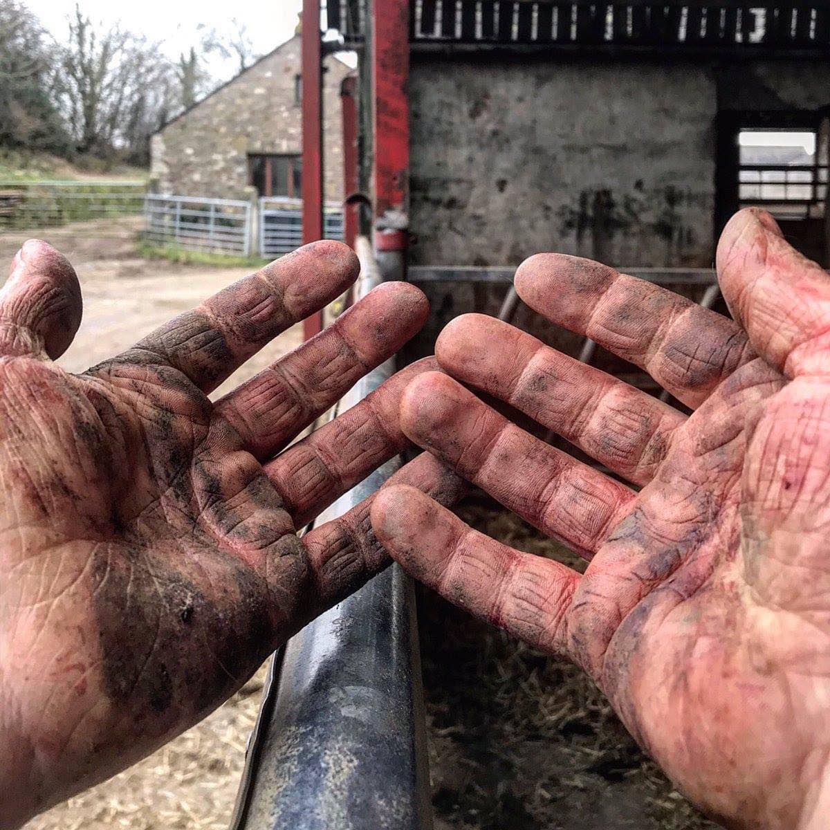 And this ladies and gents, is why farmers never have an upset stomach 💪🏼 📷 Insta: jrfromstrickley