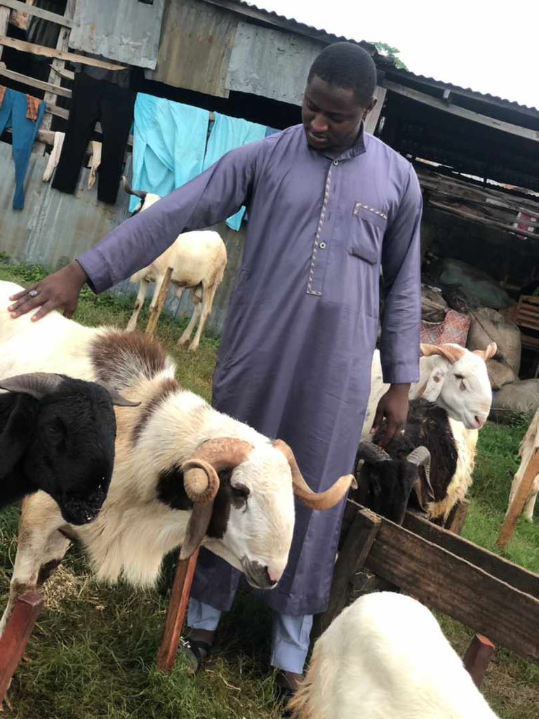 Sule MaiRago 🐏 Kindly give me Supplies please this coming Eid🙏 May the Almighty Allah continue to bless our hustle. Ameen ya hayyu Yaqayyum.