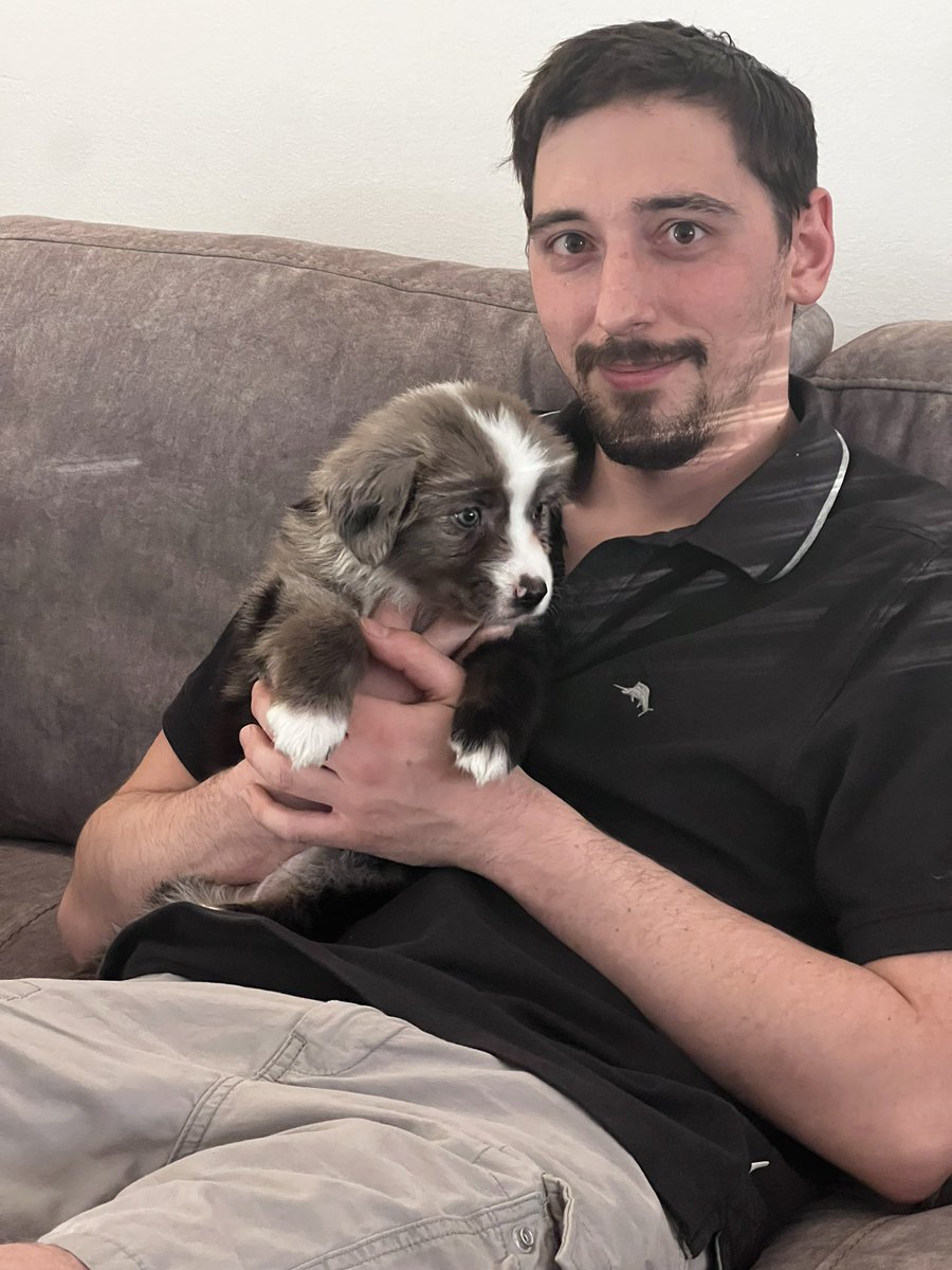 My new grand dog🐶🐾😊💙#itsaboy #AustralianShepherd