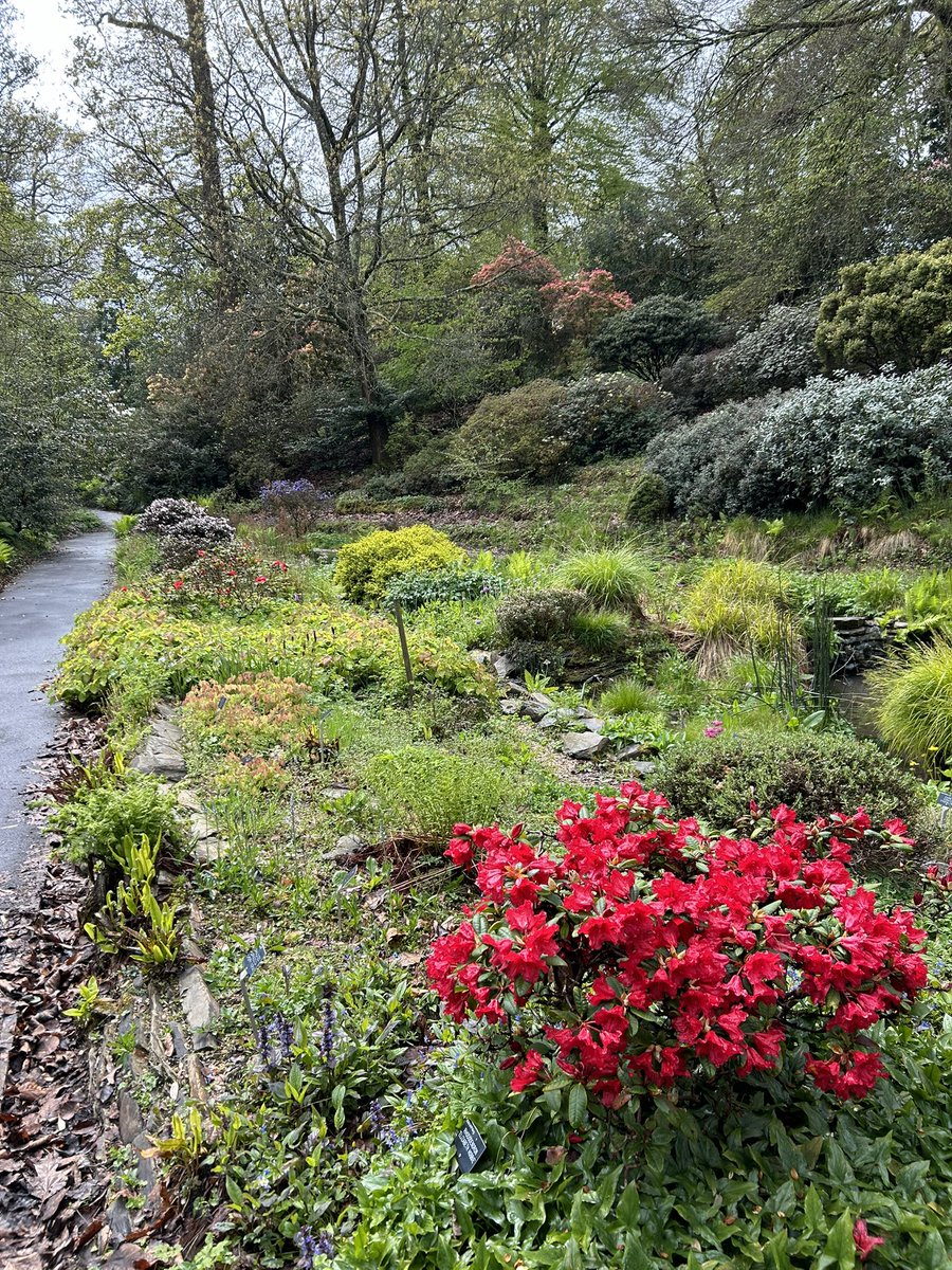 Dodged the rain and rewarded with an absolutely dazzling display of colours at the local gardens Think everyone else has stayed at home!