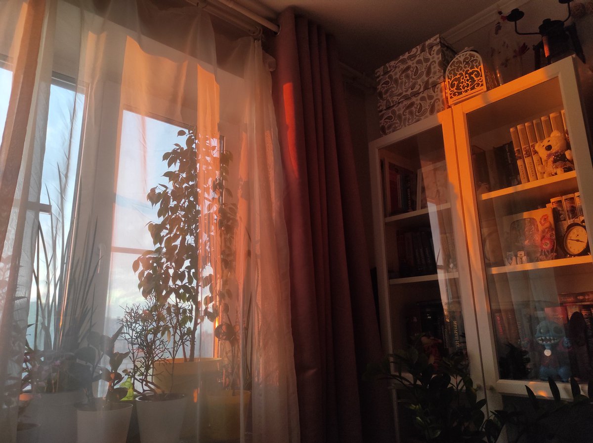 Кот полезен ещё тем, внезапно, что может разбудить в момент, когда красиво встаёт солнце с утра))