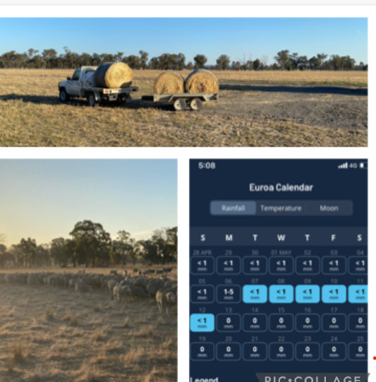 Jonwhite1983's tweet photo. Feels like it might be a long winter of feeding ! Fingers crossed something brews up before it gets to cold for growth ! https://t.co/7LIsF7p2Ba