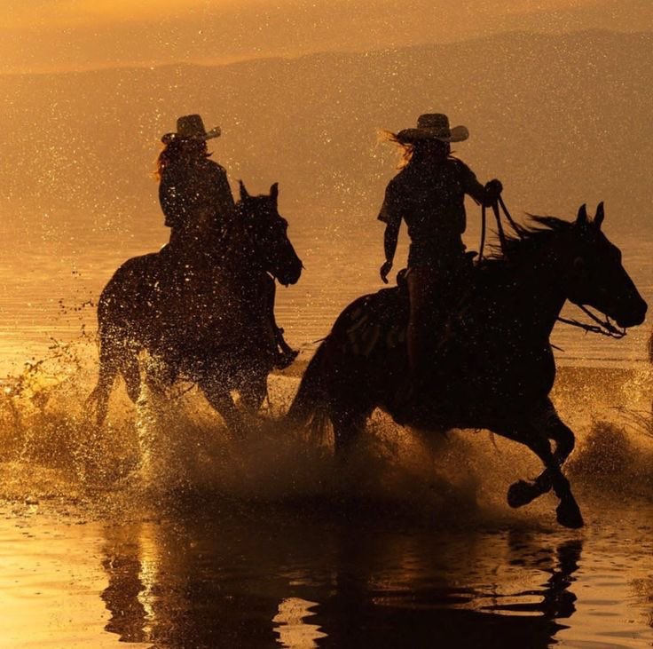 Mission2Mordor's tweet photo. Where the Wild Mustangs Roam

Wild West au 🧵 https://t.co/0Iy7hmpJE0
