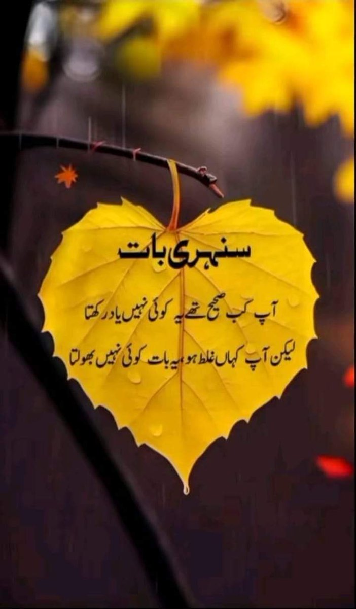 SMshahofficial_'s tweet photo. سنہری بات 💯
Good after noon ❤
دوپہر بخیر https://t.co/4jp3DZXdE3