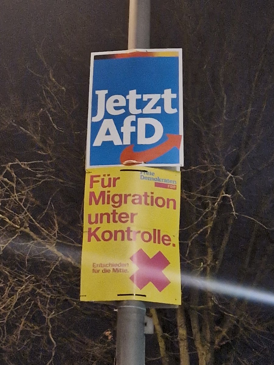 @graddenker @Storch_i @fdp Plakat passend als subheading für #fckafd Plakat.
🫠 Wahlwiederholung Berlin.

Kannst dir nicht ausdenken, ich glaub die Blau/Braunen haben sich beim aufhängen gefreut.