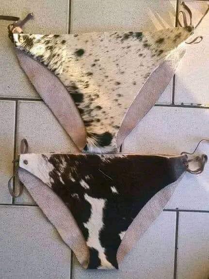 Ma Ndebele marangarirwa