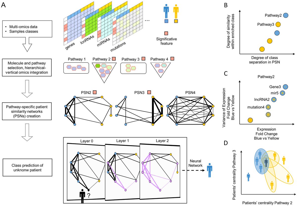 StellarPath! Deep learning classifier that automatizes the biologist’s task of classifying phenotypic conditions with pathways. It exploits the pathway space and patient similarity networks focusing on feature selection and interpretability. doi.org/10.1371/journa…